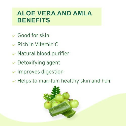 Vitro Naturals Healthy Amla Juice | Swadesiicart