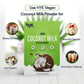 Hye Foods Vegan Coconut Milk Powder