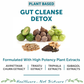 Bliss Welness Body Gut Detox Plant Based Veg Tablet