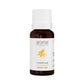 Aroma Treasures Cinnamon Leaf Pure Essential Oil