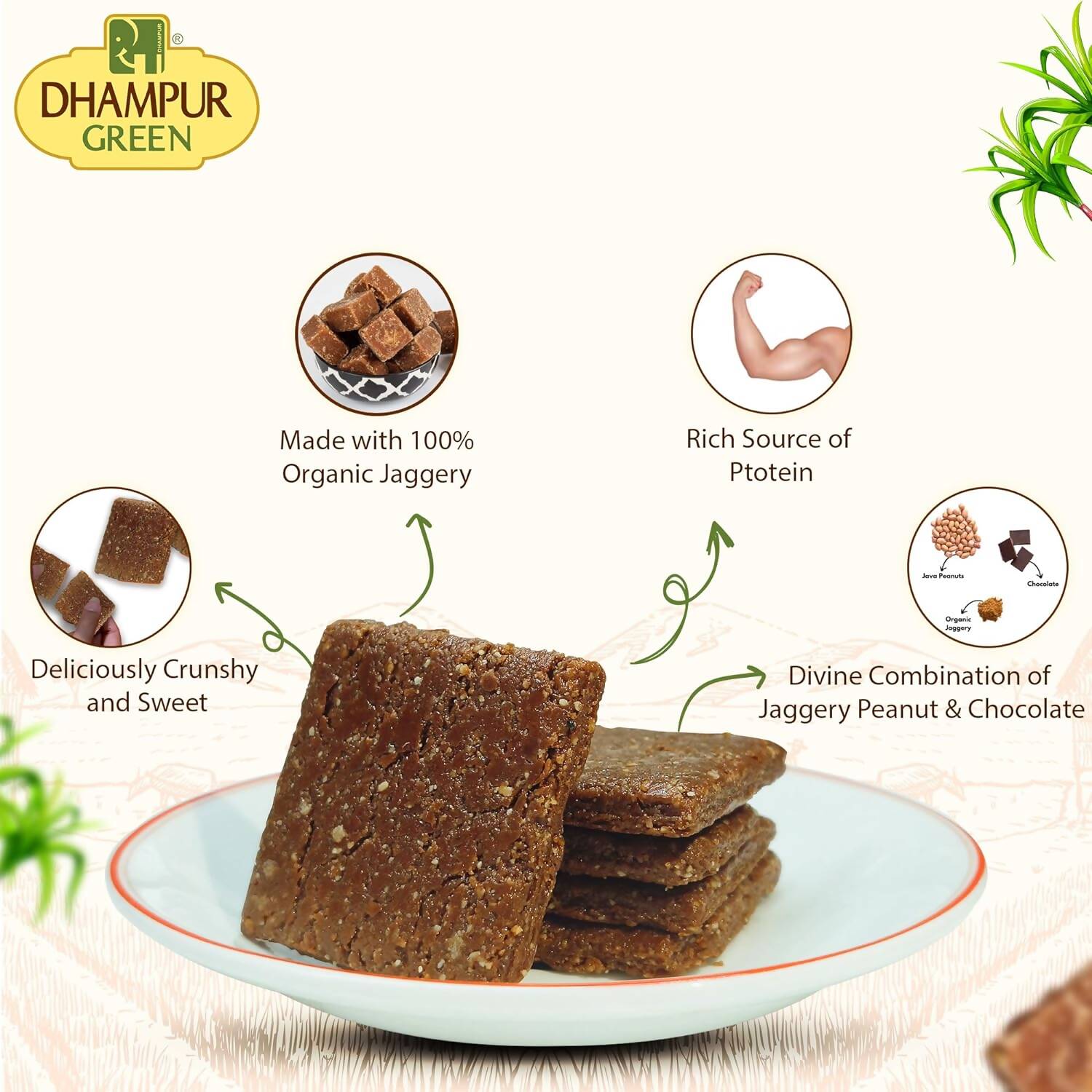 Dhampur Green Chocolate Peanut Chikki | Swadesiicart