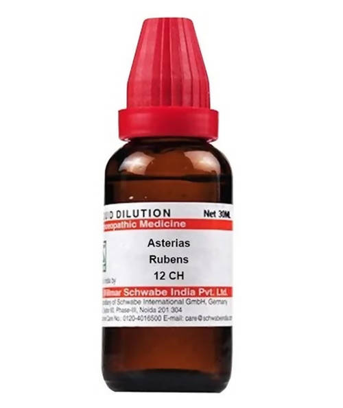 Dr. Willmar Schwabe India Asterias Rubens Dilution | Swadesiicart