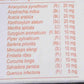Patanjali Dant Kanti Natural Tooth Paste (100 gms) uses