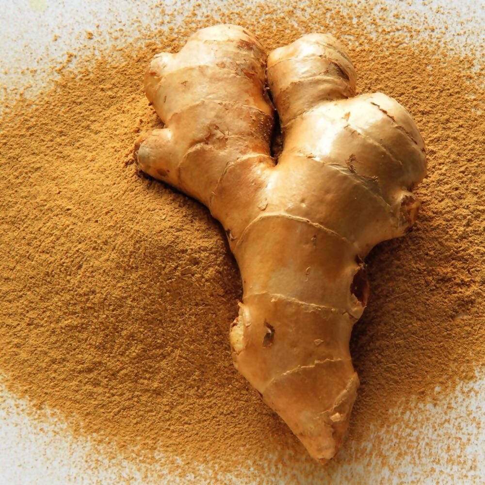 Freshon Dry Ginger Powder - Swadesiicart