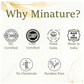 Minature Gokshura Tablets | Swadesiicart