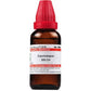 Dr. Willmar Schwabe India Canchalagua Dilution | Swadesiicart