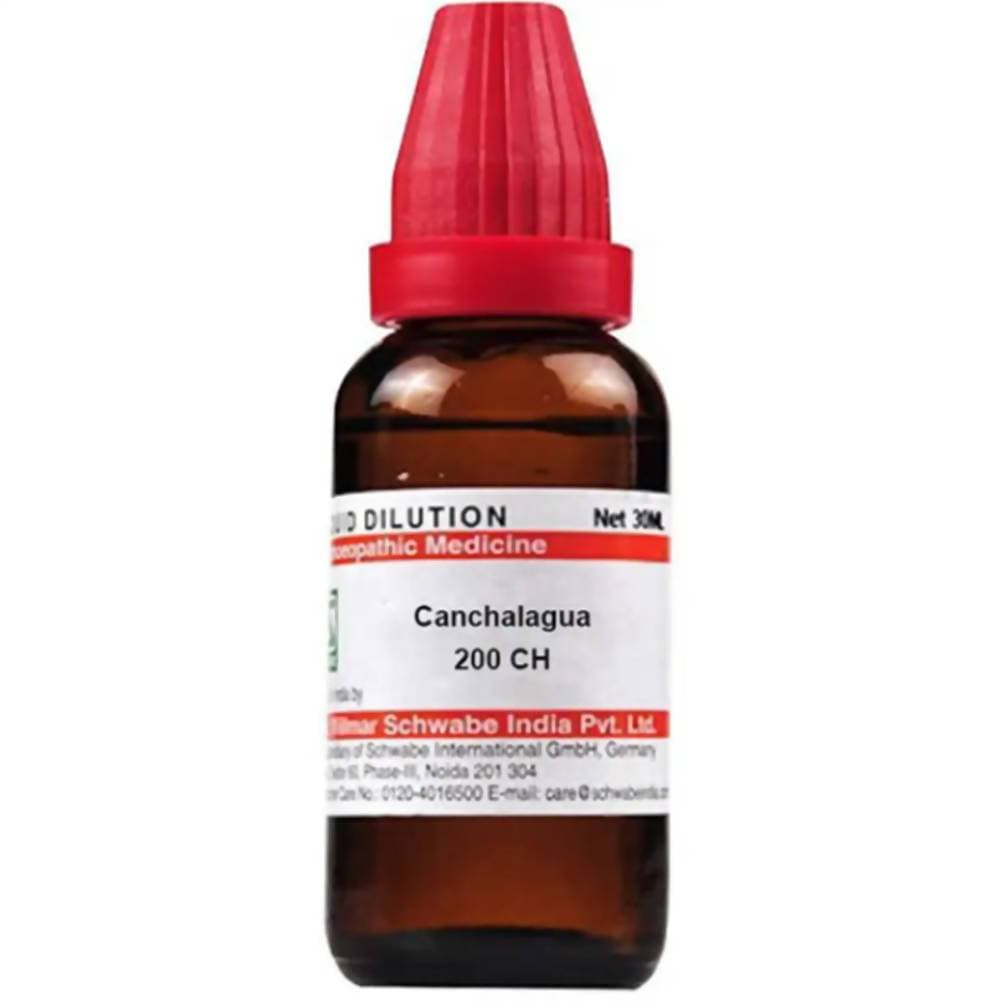 Dr. Willmar Schwabe India Canchalagua Dilution | Swadesiicart