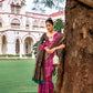 Vishnu Weaves Women's Wine Patola Banarasi Silk Meenakari Zari Woven Saree with Blouse - Swadesiicart