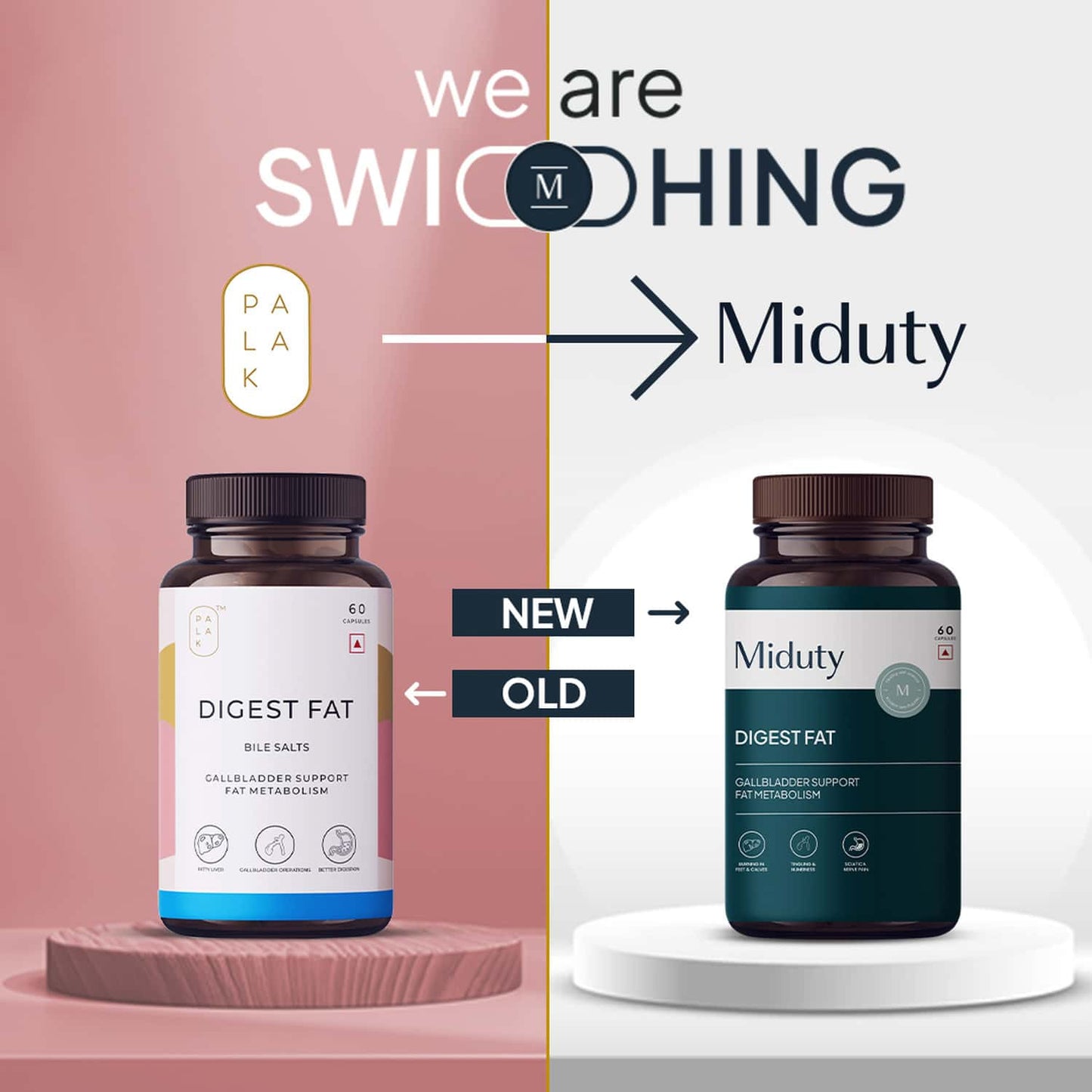 Miduty by Palak Notes Digest Fat Bila Salts Capsules - Swadesiicart