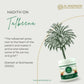 Al Masnoon Talbeena - Swadesiicart