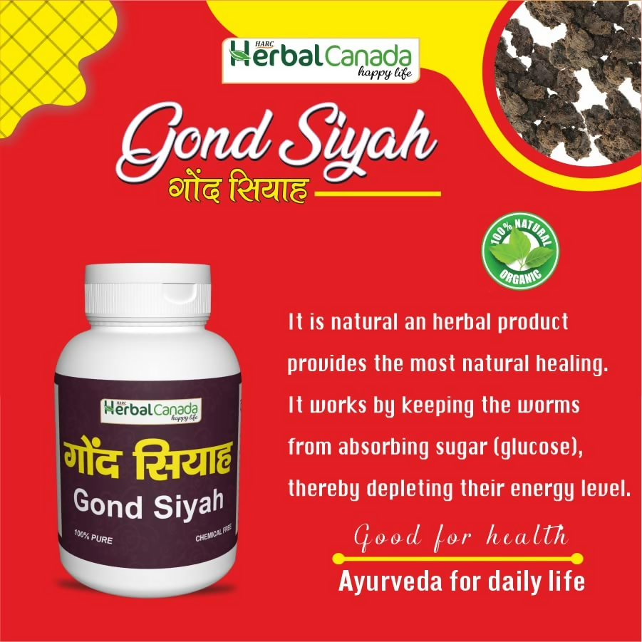 Herbal Canada Gond Siyah Powder | Swadesiicart