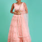 House of Panchhi Peach Net Sequinse Work Lehenga & Blouse, Dupatta | Swadesiicart