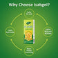 Dabur Sat Isabgol | Swadesiicart