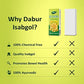 Dabur Sat Isabgol | Swadesiicart