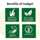 Dabur Sat Isabgol | Swadesiicart