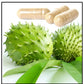 Alavi Graviola/Soursop Fruit Dry Powder Capsules - Swadesiicart