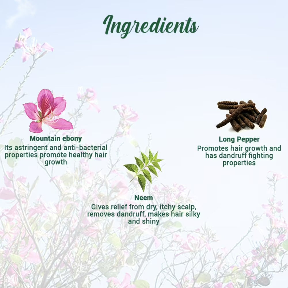 Biotique Bio Mountain Ebony Vitalizing Serum - Swadesiicart