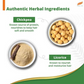 Himalaya Herbals Gentle Daily Care Protein Shampoo - Swadesiicart