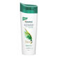 Himalaya Anti-Dandruff Cooling Mint Shampoo | Refreshing Dandruff Control with Mint & Tea Tree