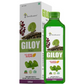 Four Seasons Giloy Juice