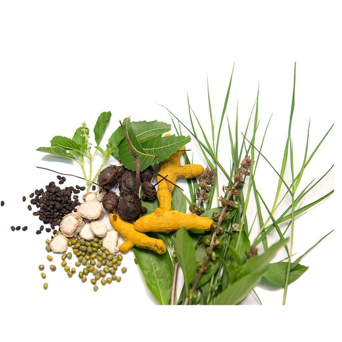 Isha Life Ojasvini Herbal Snanam Powder (Bath Powder) - Swadesiicart