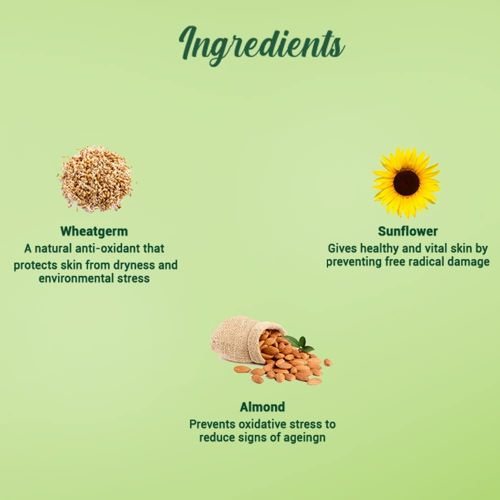 Biotique Advanced Ayurveda WheatGerm Anti-Ageing Night Cream - Swadesiicart