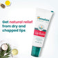Himalaya Herbals Lip Balm | Ayurvedic Moisturizing Lip Care for Soft, Healthy Lips - Swadesiicart