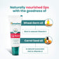 Himalaya Herbals Lip Balm | Ayurvedic Moisturizing Lip Care for Soft, Healthy Lips - Swadesiicart