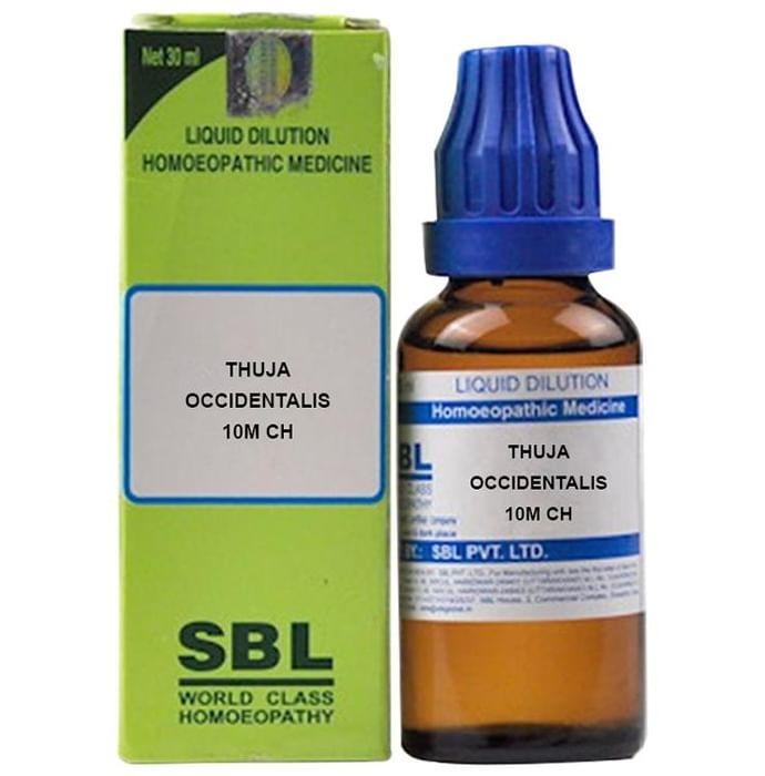 SBL Homeopathy Thuja Occidentalis Dilution - Swadesiicart