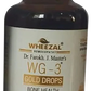 Wheezal Homeopathy WG-3 Gold Drops | Swadesiicart