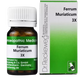 Dr. Reckeweg Ferrum Muriaticum Tablets - Swadesiicart