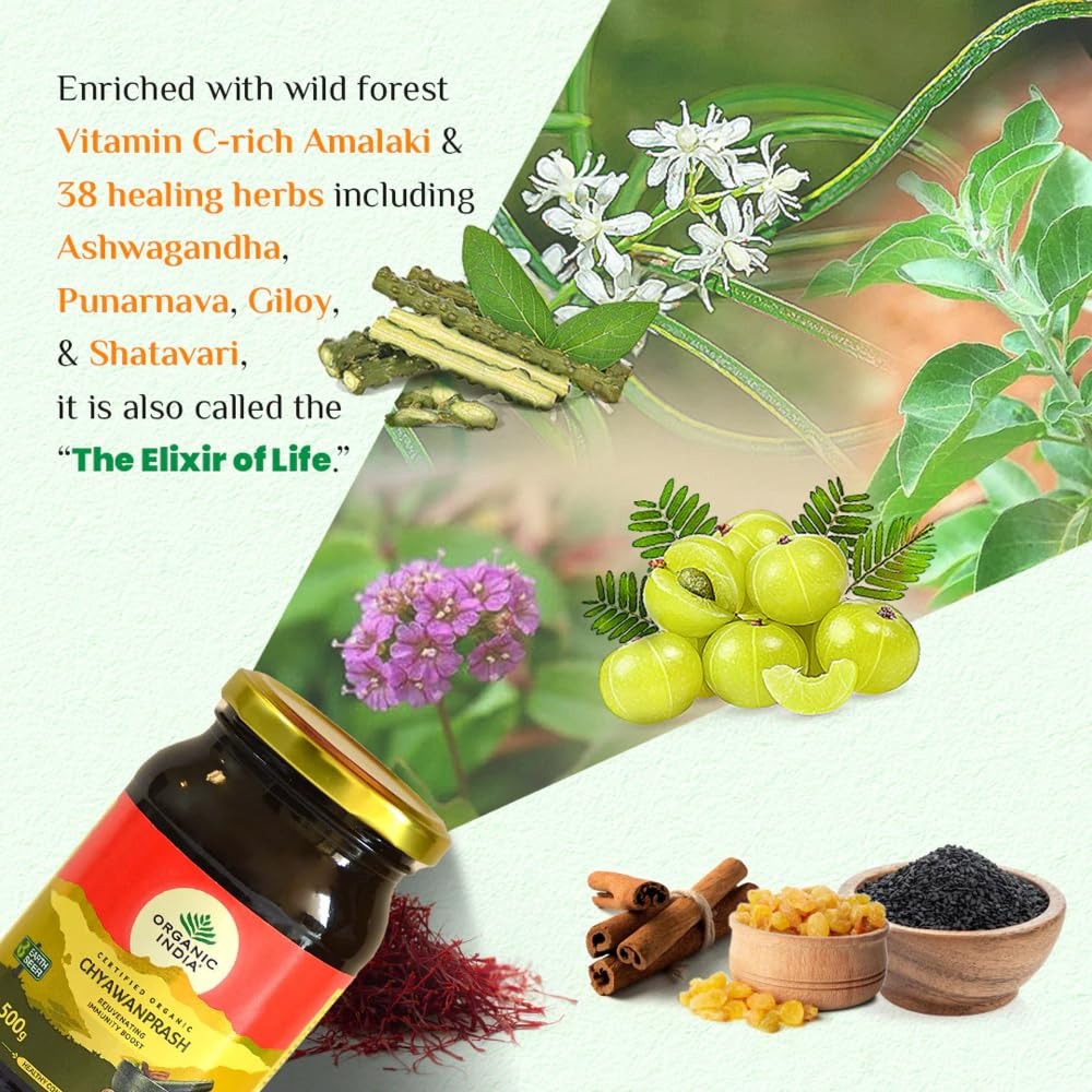 Organic India Organic Chyawanprash - Swadesiicart