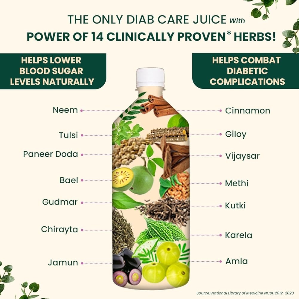 Vansaar 45+ Diab Balance Juice - Swadesiicart
