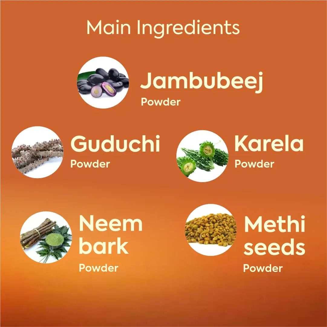 Herbal Hills Ayurveda Dia Care Churna - Swadesiicart