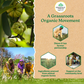 Organic India Garcinia Capsules - Swadesiicart