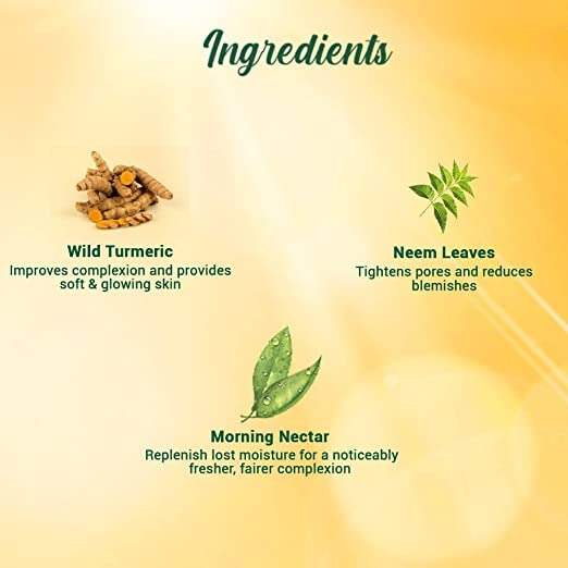 Biotique Advanced Ayurveda Bio Morning Nectar Visibly Flawless Sun Protector 30+SPF UVA/UVB Sunscreen - Swadesiicart