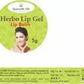 Ayurvedic Life Herbo Lip Gel Lip Balm