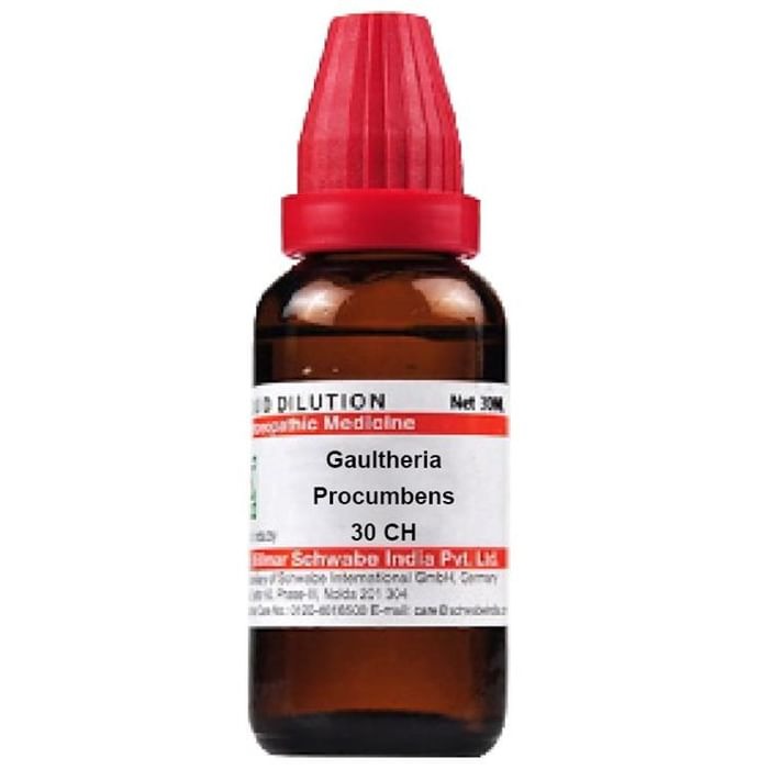 Dr. Willmar Schwabe India Gaultheria Procumbens Dilution - Swadesiicart