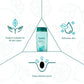 Himalaya Herbals Refreshing & Clarifying Toner - Swadesiicart