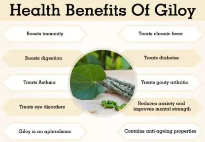 Dabur Giloy Tablets Immunity Booster - Swadesiicart