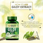 Himalayan Organics Giloy Extract 500 mg Tablets - Swadesiicart