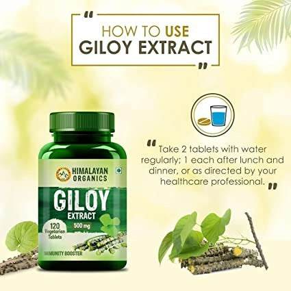 Himalayan Organics Giloy Extract 500 mg Tablets - Swadesiicart