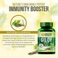Himalayan Organics Giloy Extract 500 mg Tablets - Swadesiicart