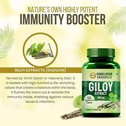 Himalayan Organics Giloy Extract 500 mg Tablets - Swadesiicart