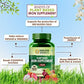 Himalayan Organics Plant Based Iron Supplement + Folate Vegetarian Capsules | Swadesiicart