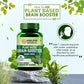 Himalayan Organics Plant-Based Brain Booster Supplement Capsules - Swadesiicart