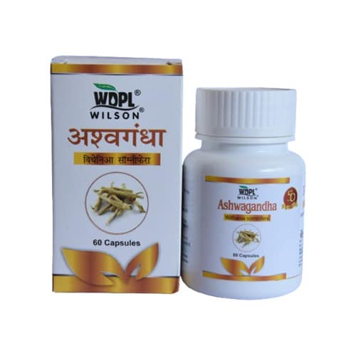 Wilson Ashwagandha Capsules - Swadesiicart