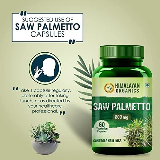 Himalayan Organics Saw Palmetto 800 mg Vegetarian Capsules | Swadesiicart