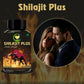 Fij Ayurveda Sj /Sj Plus Extract Capsules - Swadesiicart