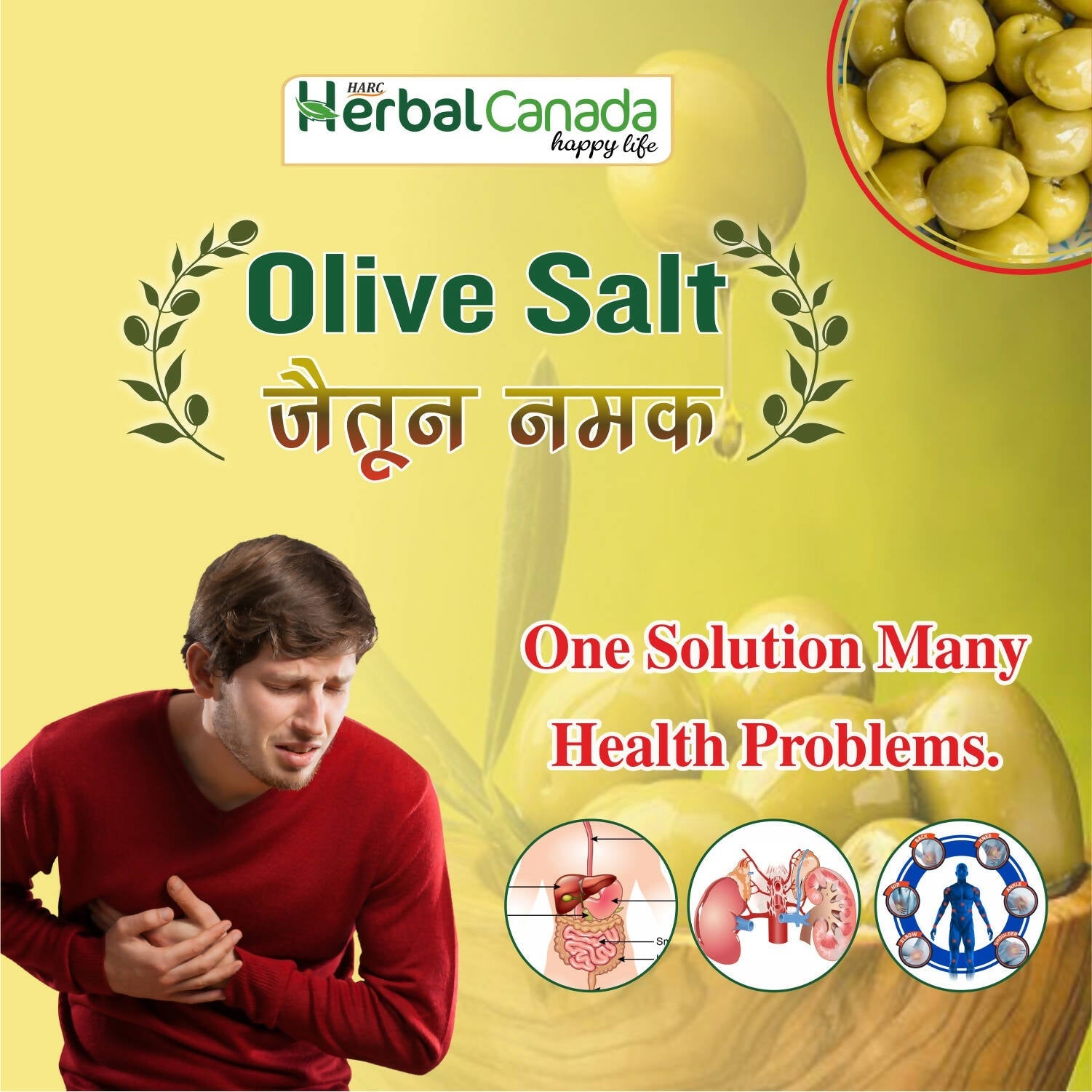 Herbal Canada Olive Salt (Jaitun Ka Namak) - Swadesiicart